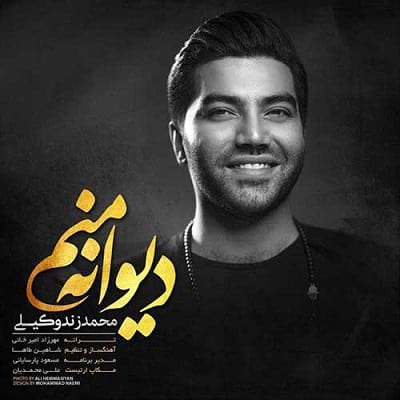 t دانلود آهنگ جدید "دیوانه منم" از محمد زندوکیلی